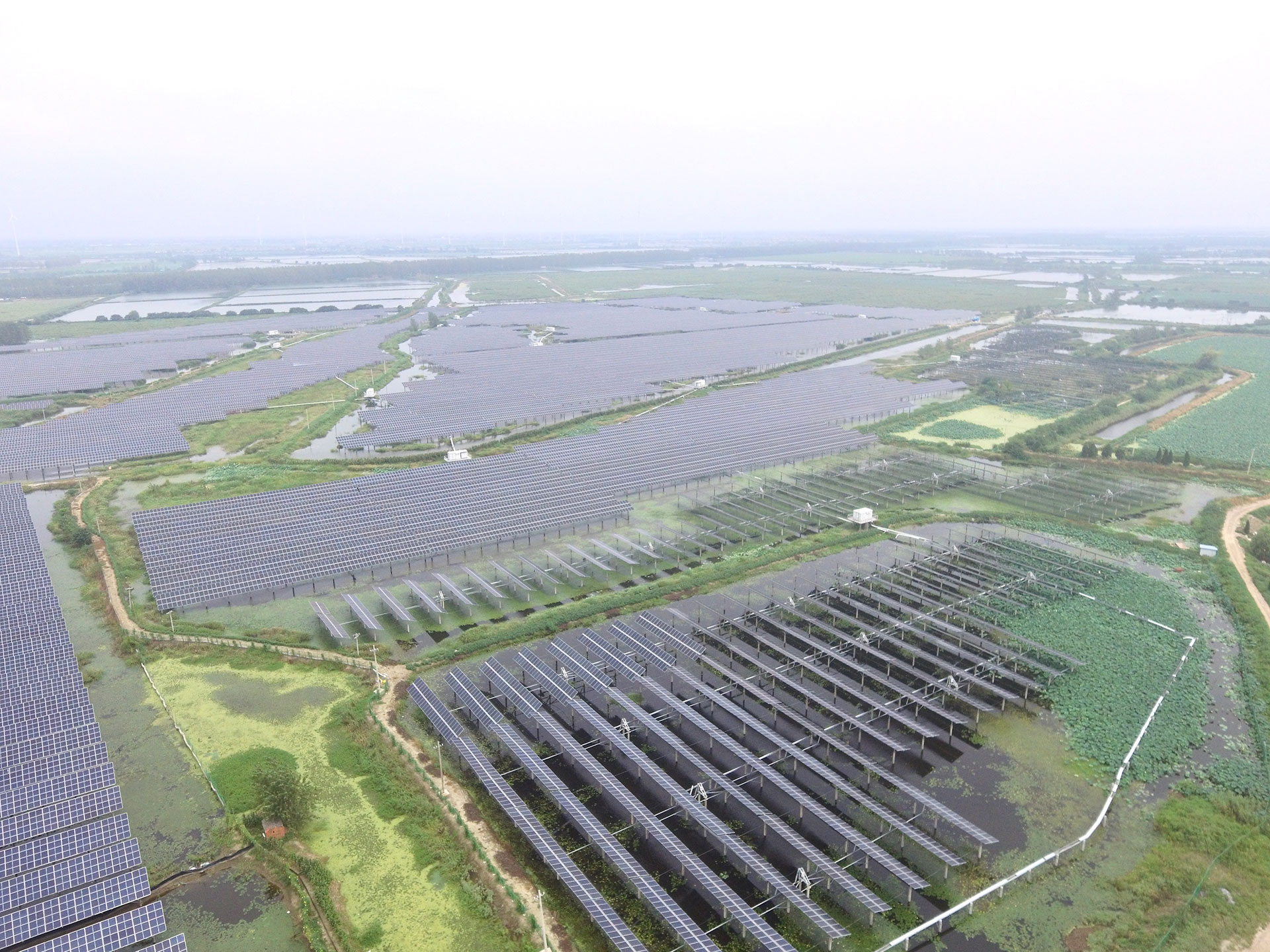 永乐高科技江苏扬州宝应光伏发电应用领跑基地2号100兆瓦项目